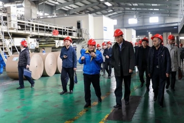 国家邮政局赵民一行莅临304永利集团调研快递包装绿色治理试点工作