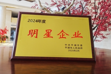 新春新景新气象 | 304永利集团在平湖三干大会上喜摘荣誉！