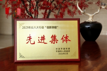 策马扬鞭启新程！304永利集团在平湖市三级干部大会上荣获“创新突破”双项荣誉